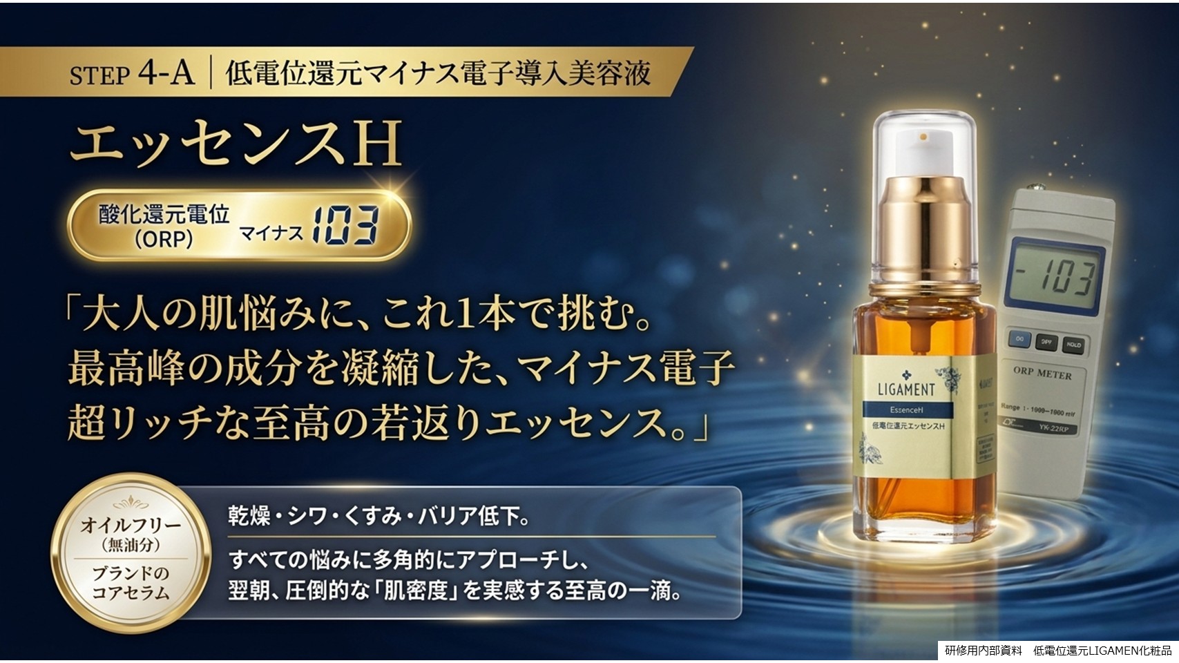 エステサロン業務用スキンプラズマ5ハンド複合機とは29-1LIGAMENT SkinPlasma