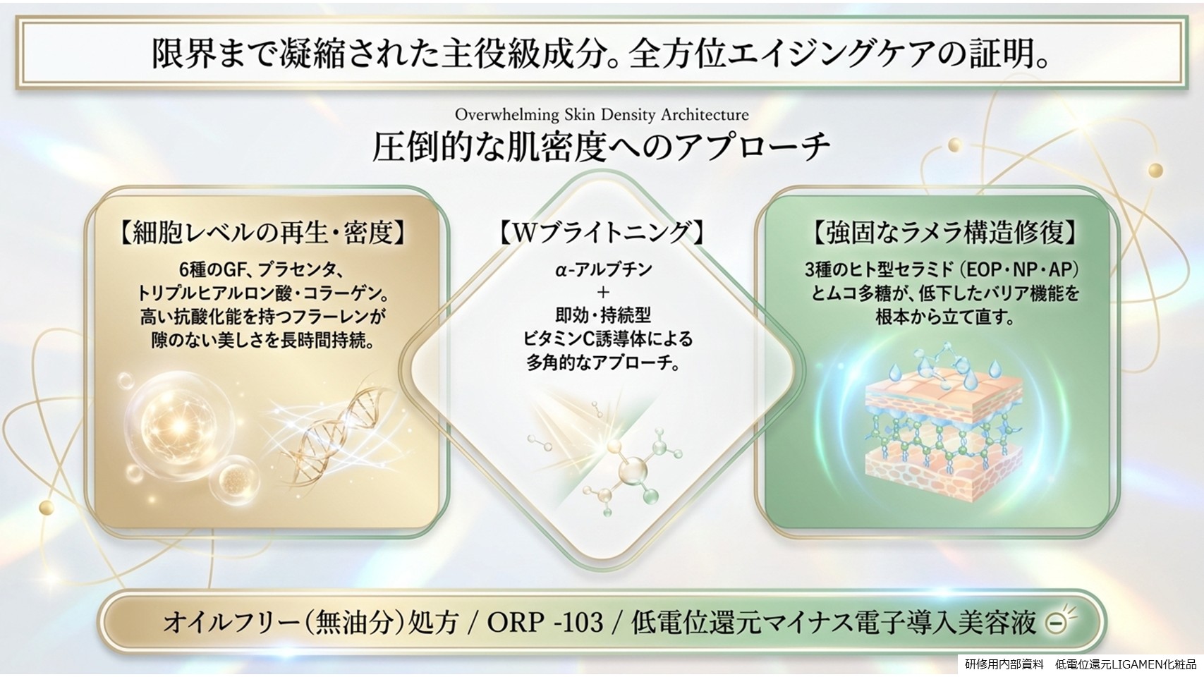 エステサロン業務用スキンプラズマ5ハンド複合機とは29-2LIGAMENT SkinPlasma