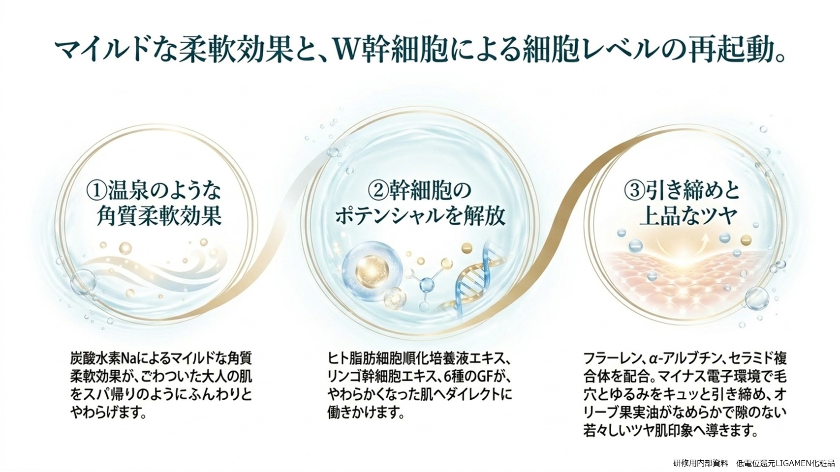 エステサロン業務用スキンプラズマ5ハンド複合機とは29-4LIGAMENT SkinPlasma