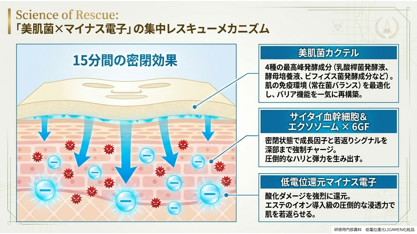 エステサロン業務用スキンプラズマ5ハンド複合機とは29-6LIGAMENT SkinPlasma